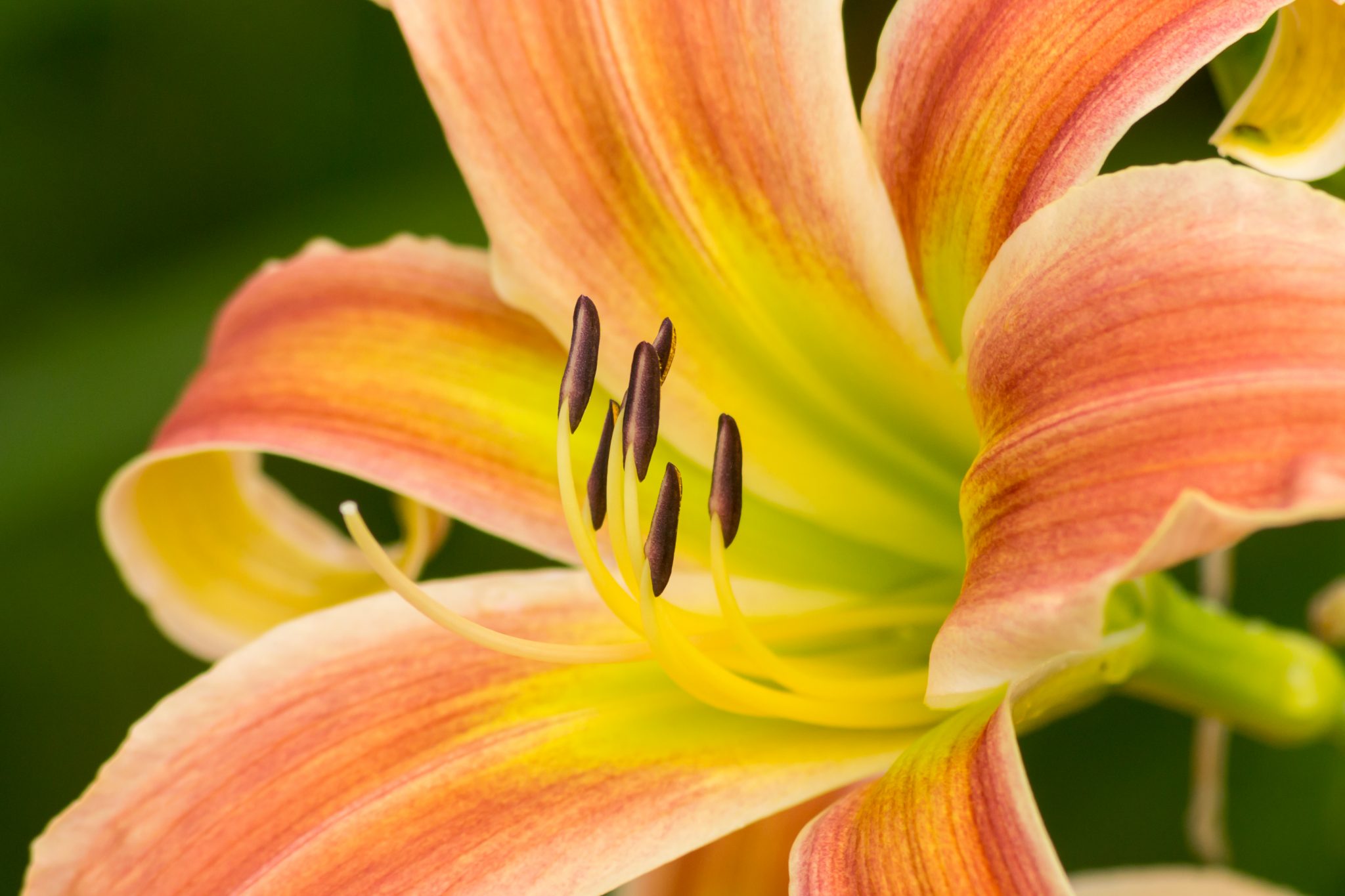 Hymn Reflection #11-- You Are My Hiding Place