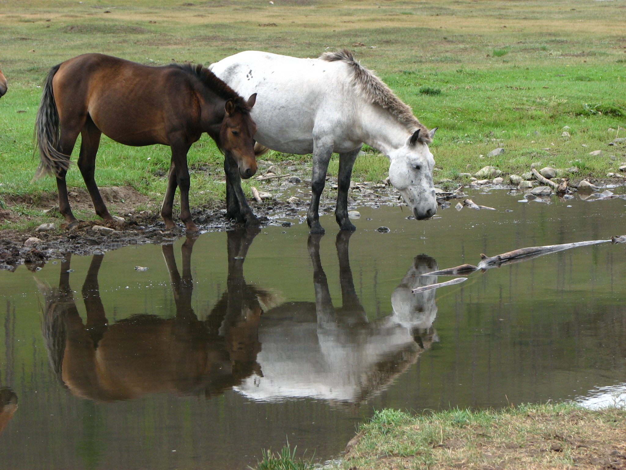 Hymn Reflection #21--O Teach Me What it Meaneth